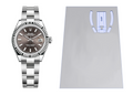Rolex Lady-Datejust 28mm Oyster Ref: 279160 2X Clasp Protection Kit