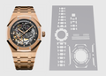Audemars Piguet Royal Oak Offshore 41mm 15407OR Watch Protection Kit