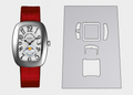 Franck Muller Galet Watch Protection Kit