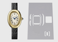 Cartier Baignoire Mini WGBA0041 Watch Protection Kit