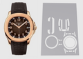 Patek Philippe Aquanaut 40.8mm 5167R-001 Watch Protection Kit