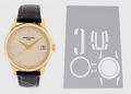 Patek Philippe Calatrava 39mm 5227R-001 Watch Protection Kit